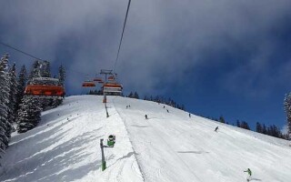 Особенности одновременного одношажного конькового хода