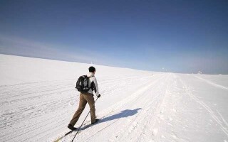 Как правильно выбрать лыжи и палки по росту