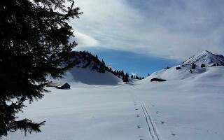 Все о беккантри (backcountry)