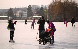 Виды и техника выполнения вращений в фигурном катании