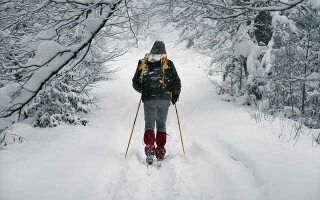 Отличие классических лыж от коньковых