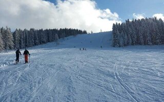 Лыжи Маяк — обзор и виды моделей