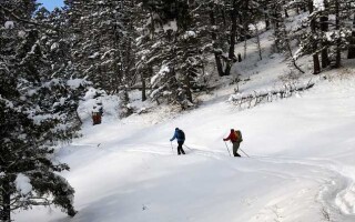 Цикля для лыж: способы, применение, польза