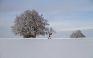 Лыжи для конькового хода