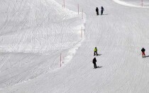 Виды лыжного спорта