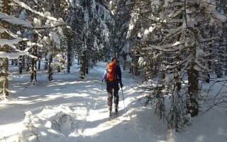 Охотничьи лыжи — выбор размера и материала